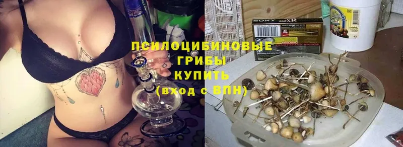 Галлюциногенные грибы мухоморы  купить   Северская 